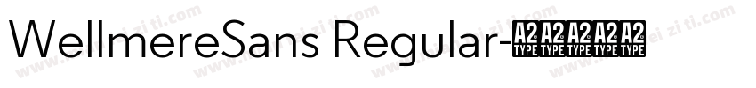 WellmereSans Regular字体转换